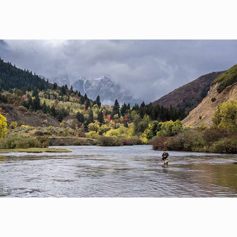 Dit zijn de nieuwste titels uit de teNeues The Ultimate Book serie