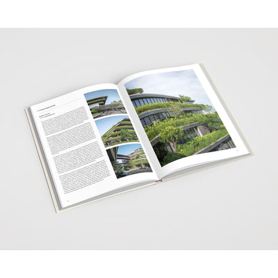 Natural Design, Biophilic Enviroments