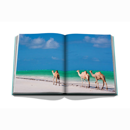 Red Sea, The Saudi Coast