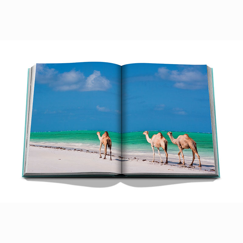 Red Sea, The Saudi Coast