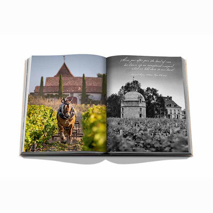 Wine and Travel France