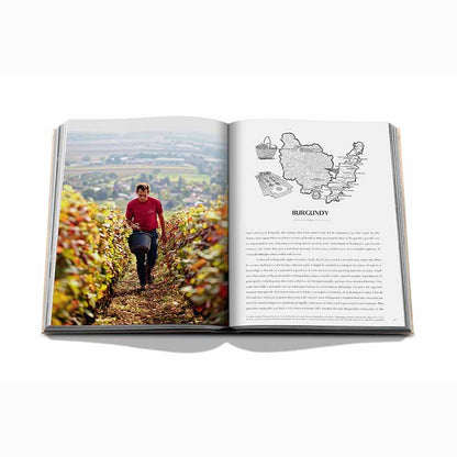 Wine and Travel France