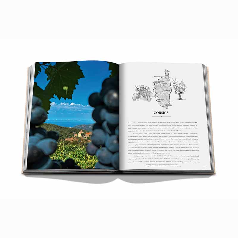 Wine and Travel France