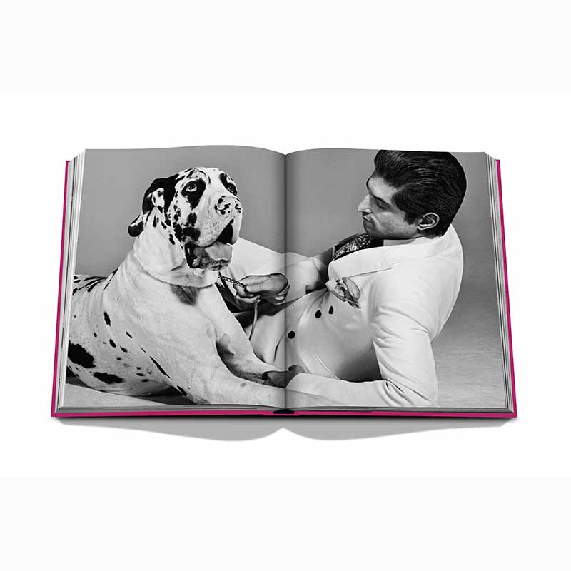 Chic Dogs