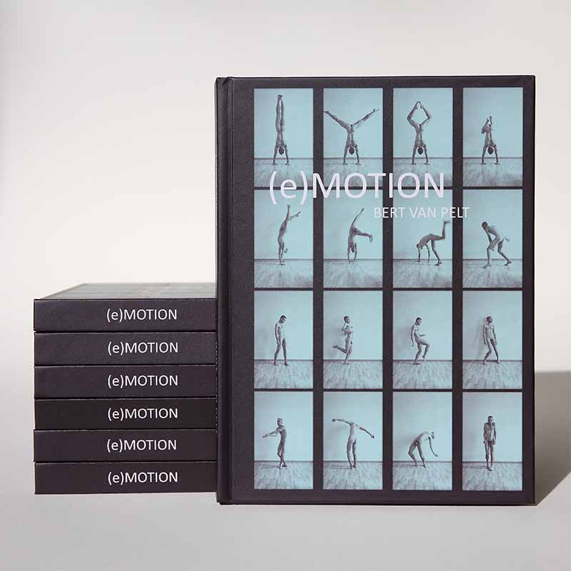 (e)MOTION, Bert van Pelt