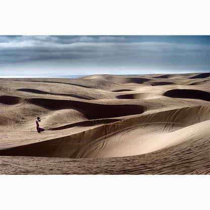 Chasing Paradise, David Drebin