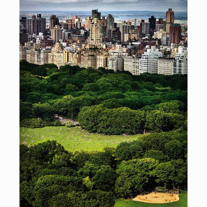 Chasing Paradise, David Drebin