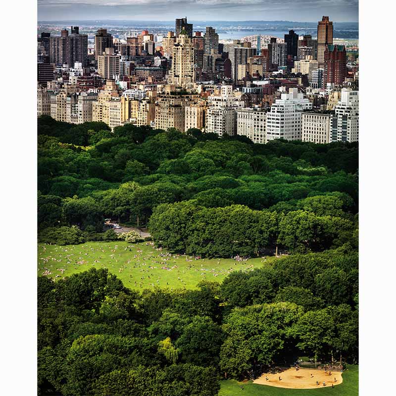 Chasing Paradise, David Drebin