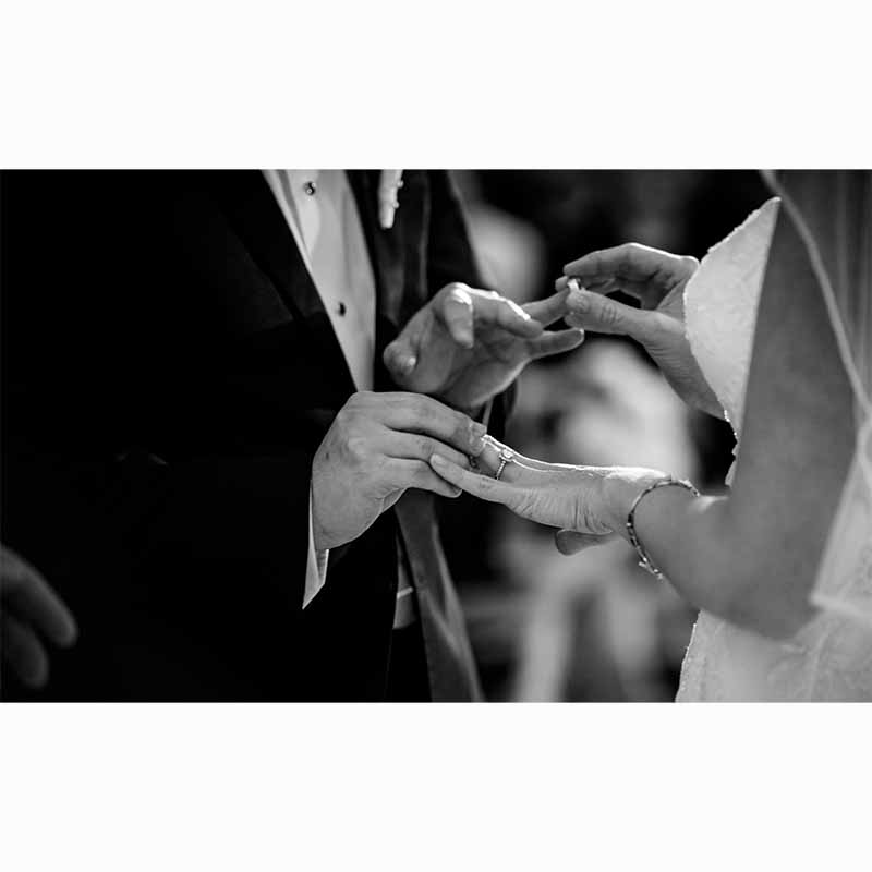 The Wedding Book for Every Season