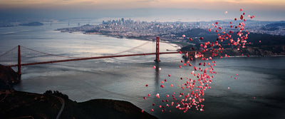 Dreamscapes, David Drebin