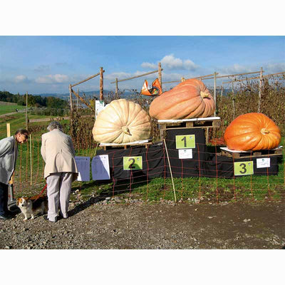 Prix Pictet - Growth