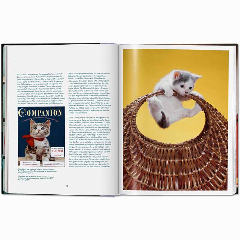 Cats Photographs 1942–2018