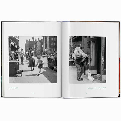 Cats Photographs 1942–2018