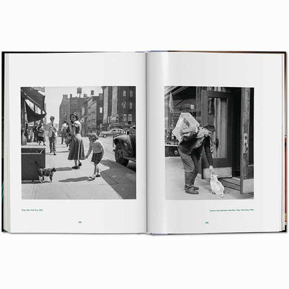 Cats Photographs 1942–2018