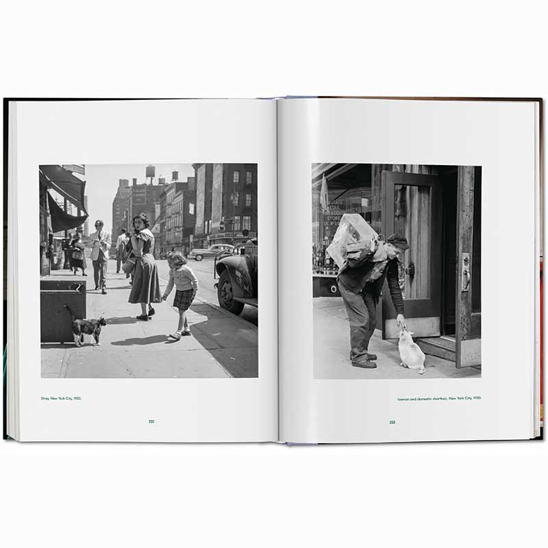 Cats Photographs 1942–2018