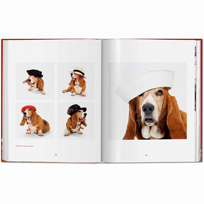 Dogs Photographs 1941–1991