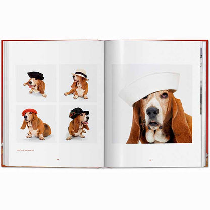 Dogs Photographs 1941–1991
