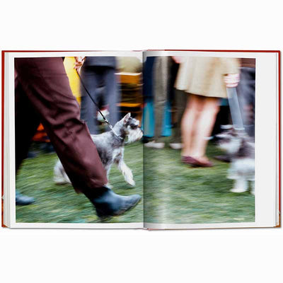 Dogs Photographs 1941–1991