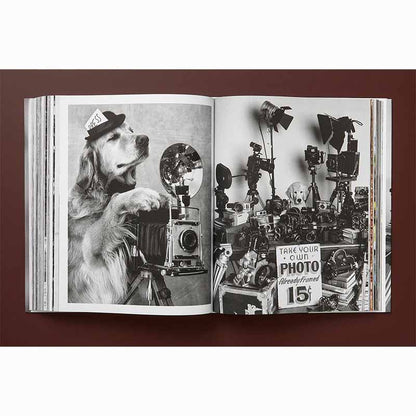 The Golden Retriever Photographic Society, Bruce Weber