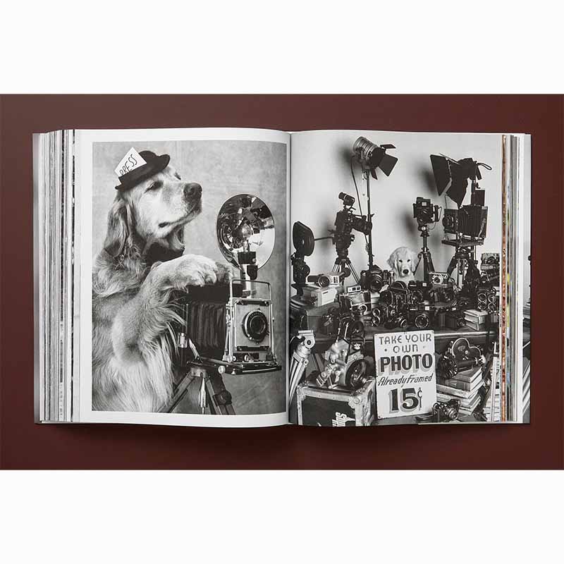 The Golden Retriever Photographic Society, Bruce Weber