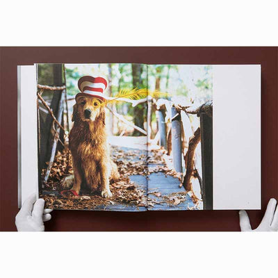 The Golden Retriever Photographic Society, Bruce Weber