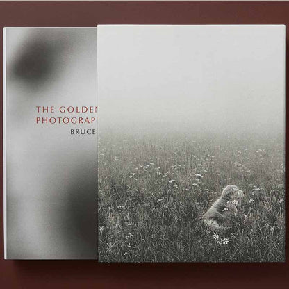 The Golden Retriever Photographic Society, Bruce Weber