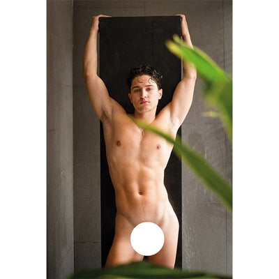 Desire, Straight Men in My Bedroom