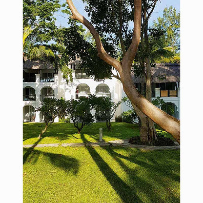 Jean-Francois Koenig: Architect