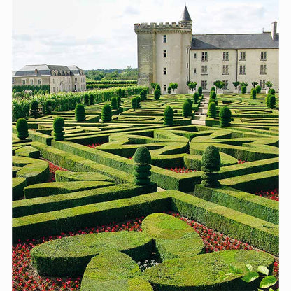 Garden Design Review