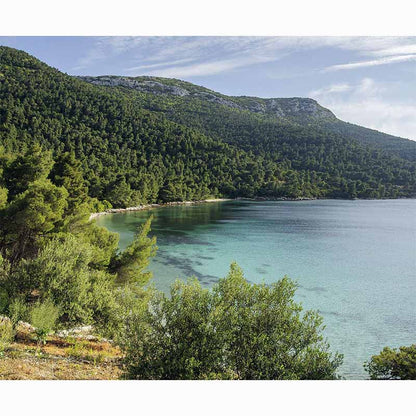 Forests in our World