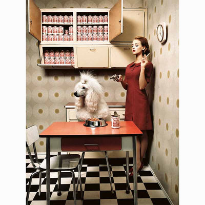 Collecting Fine Art - The Lumas Portfolio - volume IV