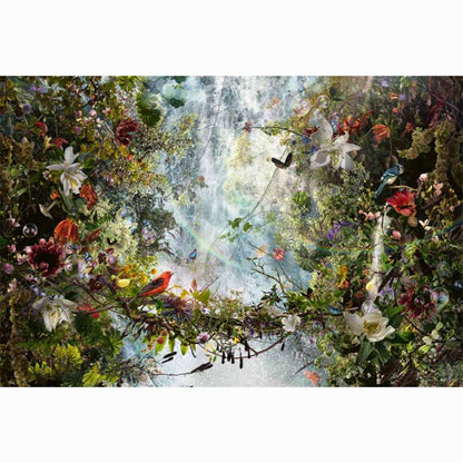 Collecting Fine Art - The Lumas Portfolio - volume IV