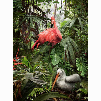 Collecting Fine Art - The Lumas Portfolio - volume IV