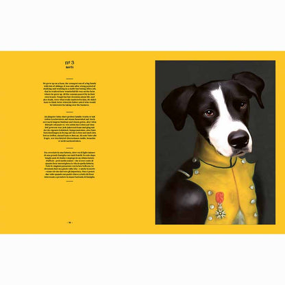 Dog, Portraits of 88 Dogs and One Little Naughty Rabbit