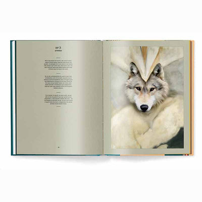 Animal, Portraits of 88 Animals