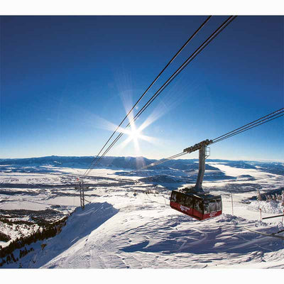 The Ultimate Ski Book (Revised Edition)