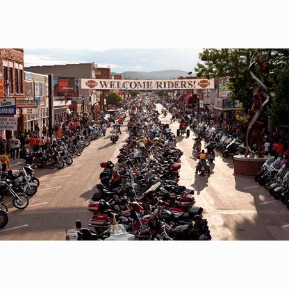 The Harley Davidson Book