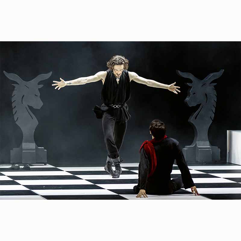 Free, A Life in Images and Words by Sergei Polunin