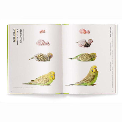 Groeien - Hoe Dieren Op De Wereld Komen