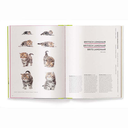 Groeien - Hoe Dieren Op De Wereld Komen