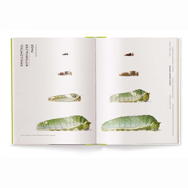 Groeien - Hoe Dieren Op De Wereld Komen