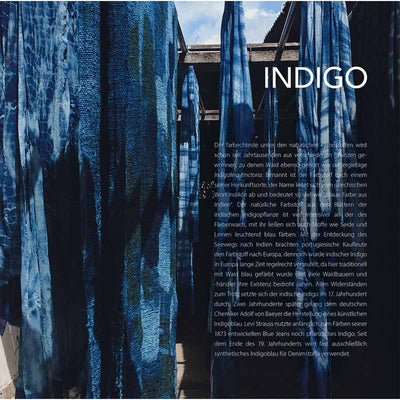 Why Bees Do Not See Red and We Sometimes Feel Blue