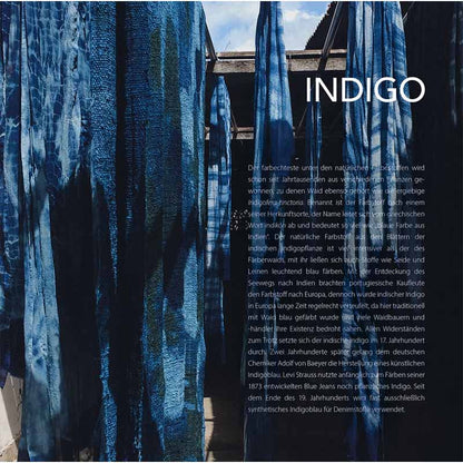 Why Bees Do Not See Red and We Sometimes Feel Blue