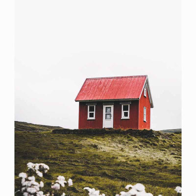 Why Bees Do Not See Red and We Sometimes Feel Blue