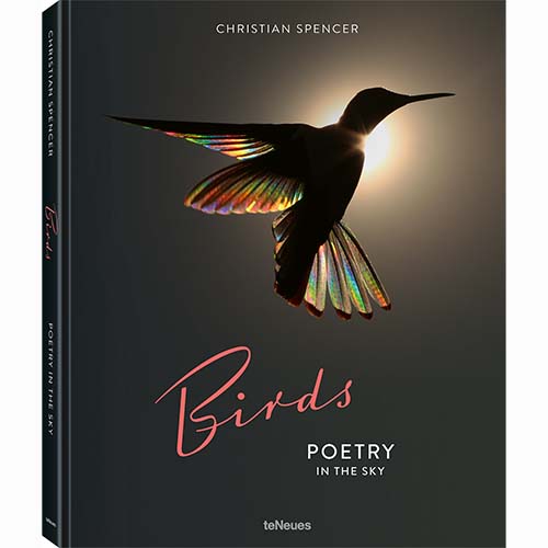 Birds, Poetry in the Sky