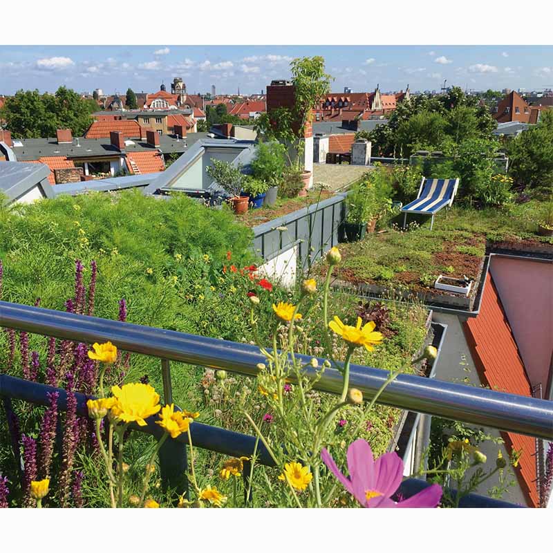 Living Roofs