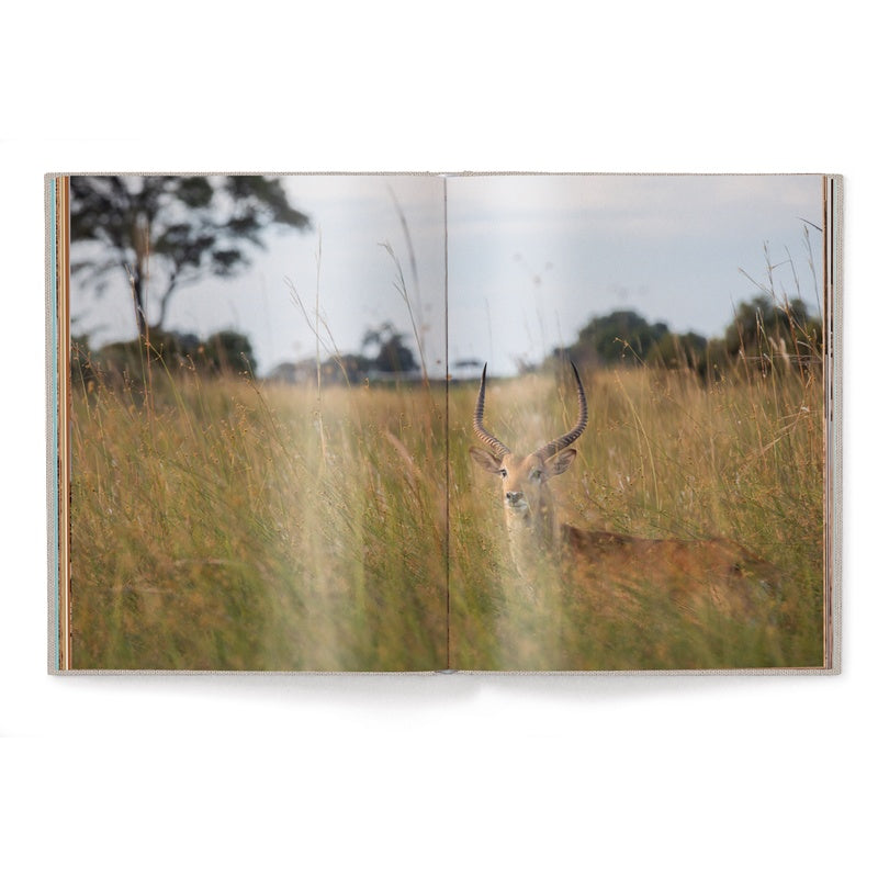 Green Namibia