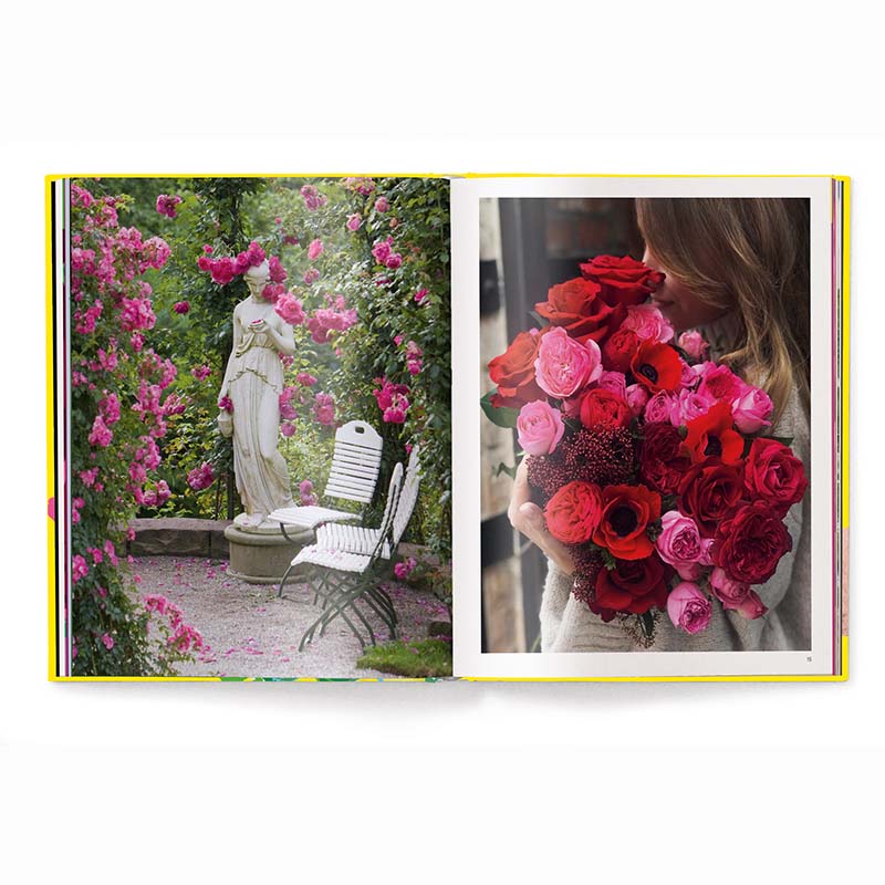 Roses Floramour