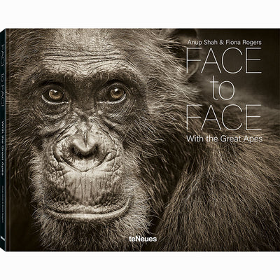 Face to Face, With the Great Apes