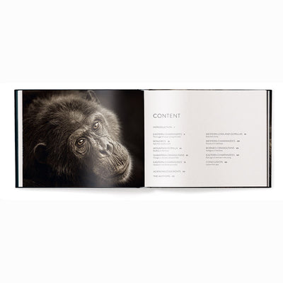 Face to Face, With the Great Apes